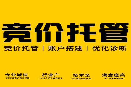 案例分享：专业SEM托管助力品牌崛起